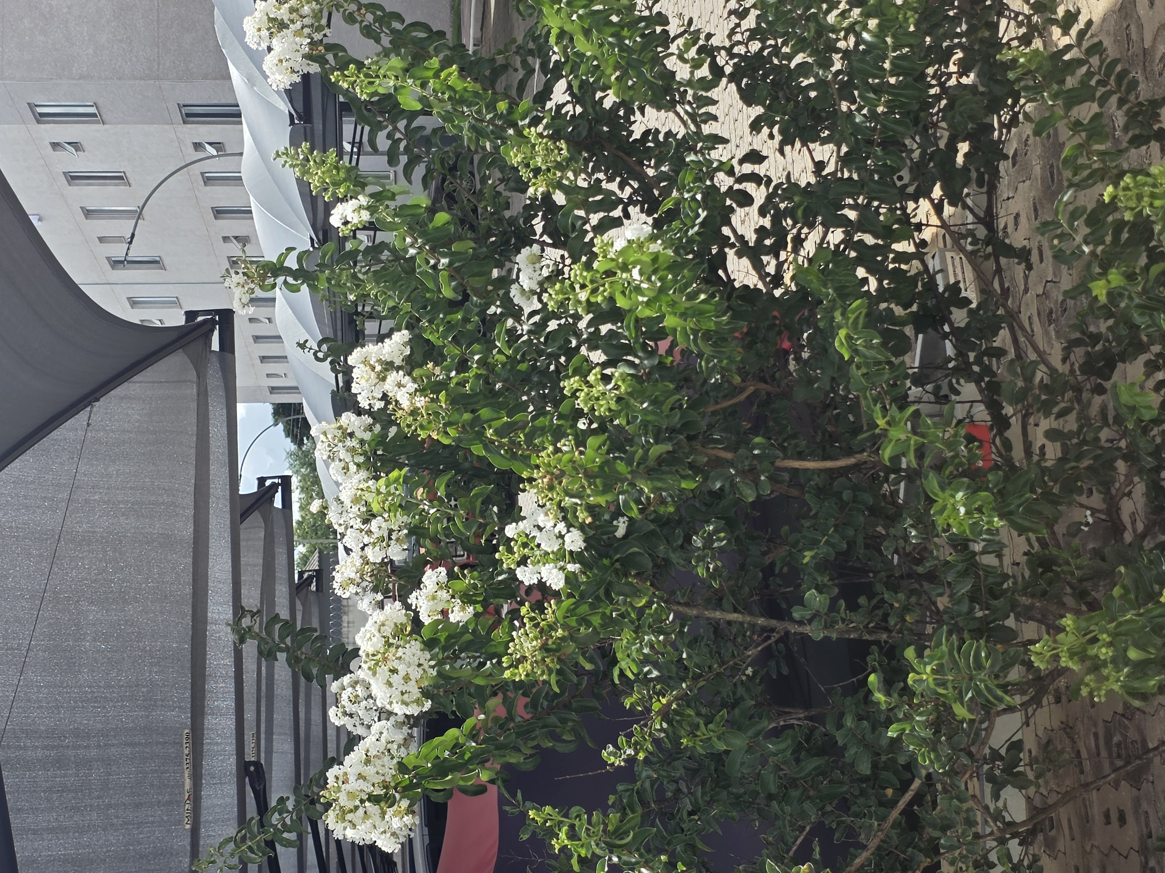 Residencial Park Club